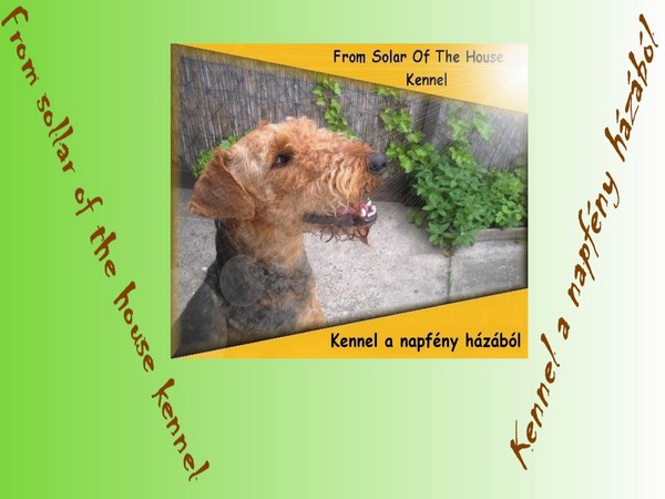 FROM SOLAR OF THE HOUSE KENNEL
